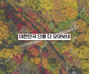 11월 경기도 축제 썸네일이미지