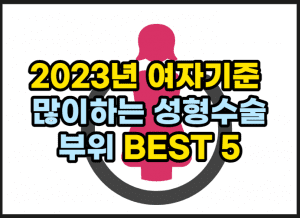 2023년 여자아이오닉5 썸네일이미지들이 가장 많이하는 성형수술 부위 BEST 5 썸네일이미지