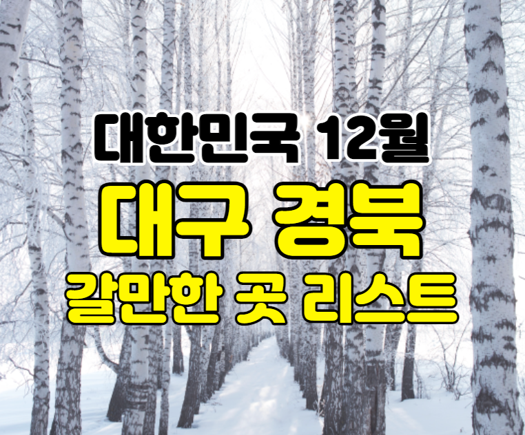 대구 경북 12월 축제&행사 여행지
