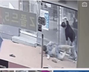 대낮 신림역 칼부림 썸네일이미지