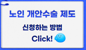 노인개안수술제도 썸네일이미지