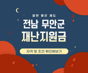 무안군 재난지원금 썸네일이미지