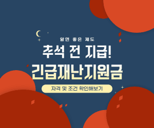 재난지원금 썸네일이미지