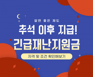 재난지원금 썸네일이미지