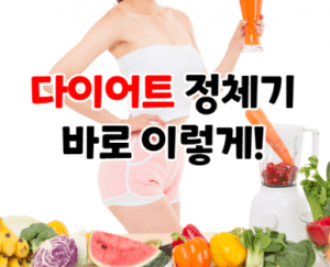 다이어트정체기 썸네일이미지