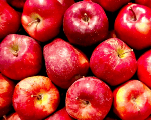 다이어트 썸네일이미지