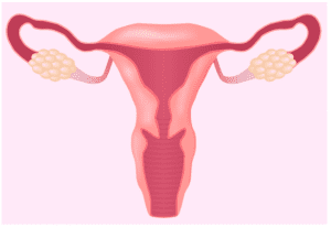 여성청결제 썸네일이미지