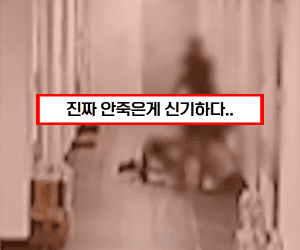 오피스텔 여성 폭행사건 썸네일이미지