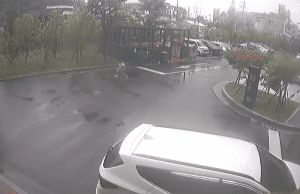 울산초등학생개습격사건 썸네일이미지