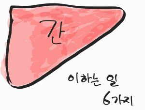 해독작용 썸네일이미지