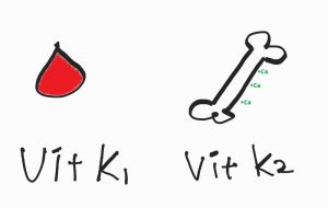 골다공증 썸네일이미지