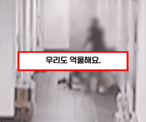 오피스텔 여성 폭행사건 썸네일이미지