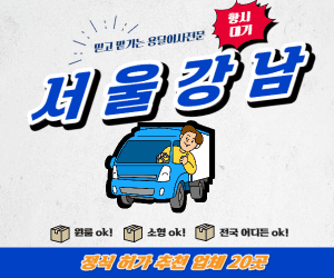 서울 강남구 포장이사